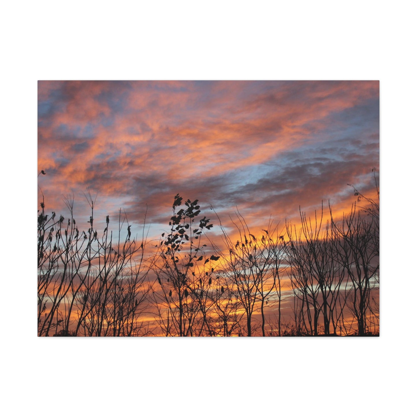 SUNDAY MORNING Canvas Gallery Wraps